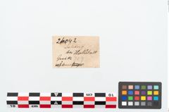 Foto von Eisengriffangelmesser (NHMW-PRAE-026042)
